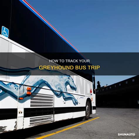 track info greyhounds|Track your trip .